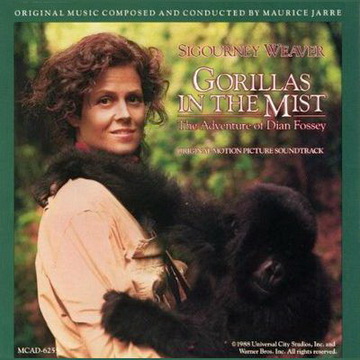c_jarre_gorillas_mist.jpg