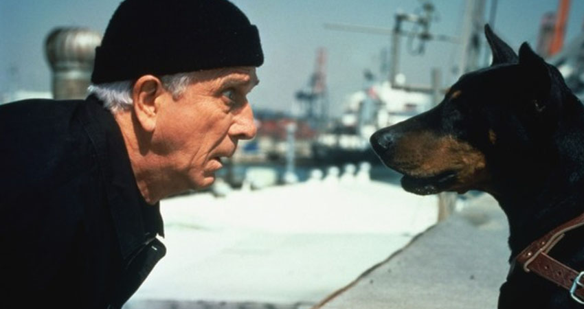 c newborn naked gun 03