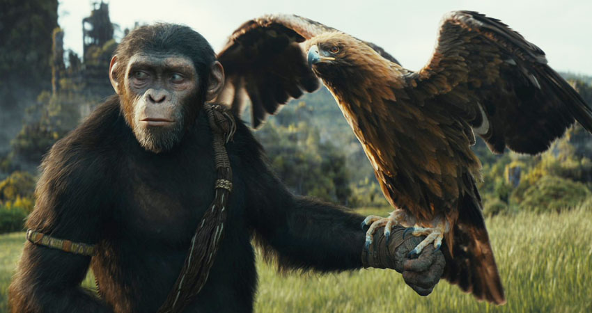 c paesano kingdom planet apes 01