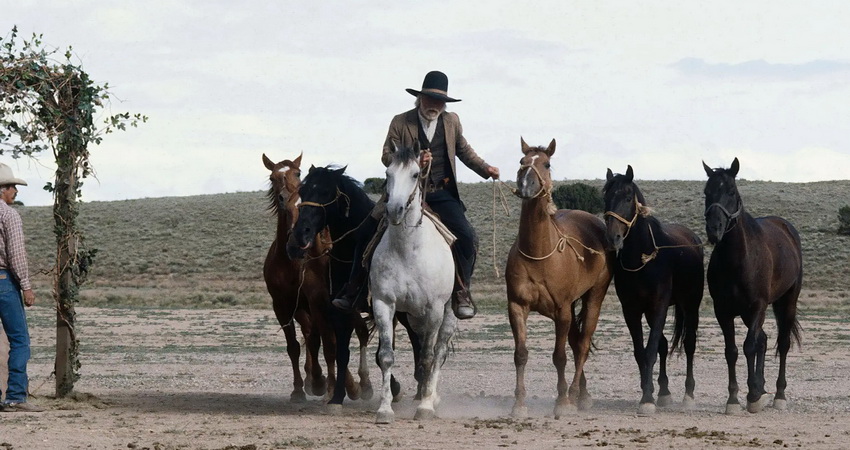 c poledouris lonesome dove 04
