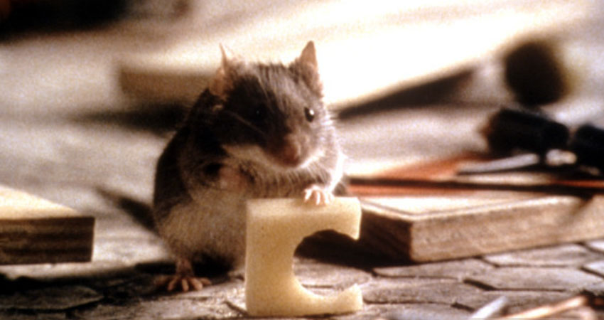 c silvestri mouse hunt 02